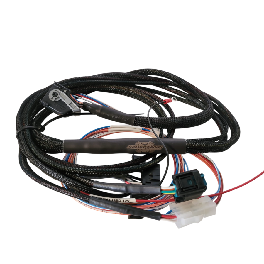 Cableado simplificado 3.0d BMW D1