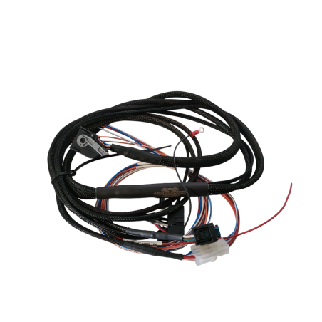 Cableado simplificado 3.0d BMW D1