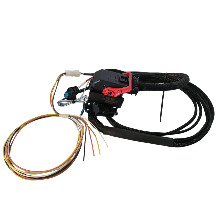 Cableado simplificado 3.0d BMW D2-D3-D4