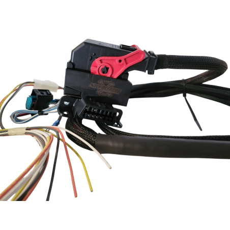 Cableado simplificado 3.0d BMW D2-D3-D4