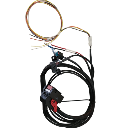 Cableado simplificado 3.0d BMW D2-D3-D4