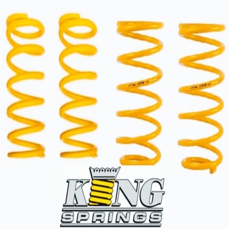 KIT MUELLES KING SPRING +5 TARADO MEDIO